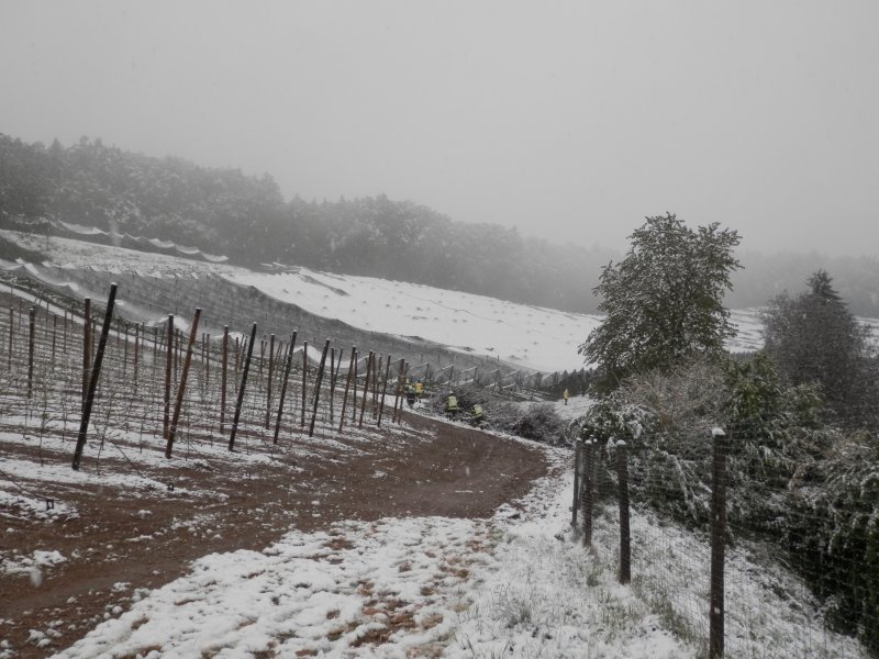 Schneeeinsatz